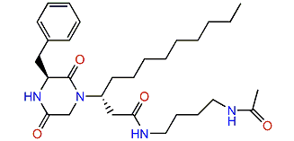 N-Acetyl-rodriguesine B